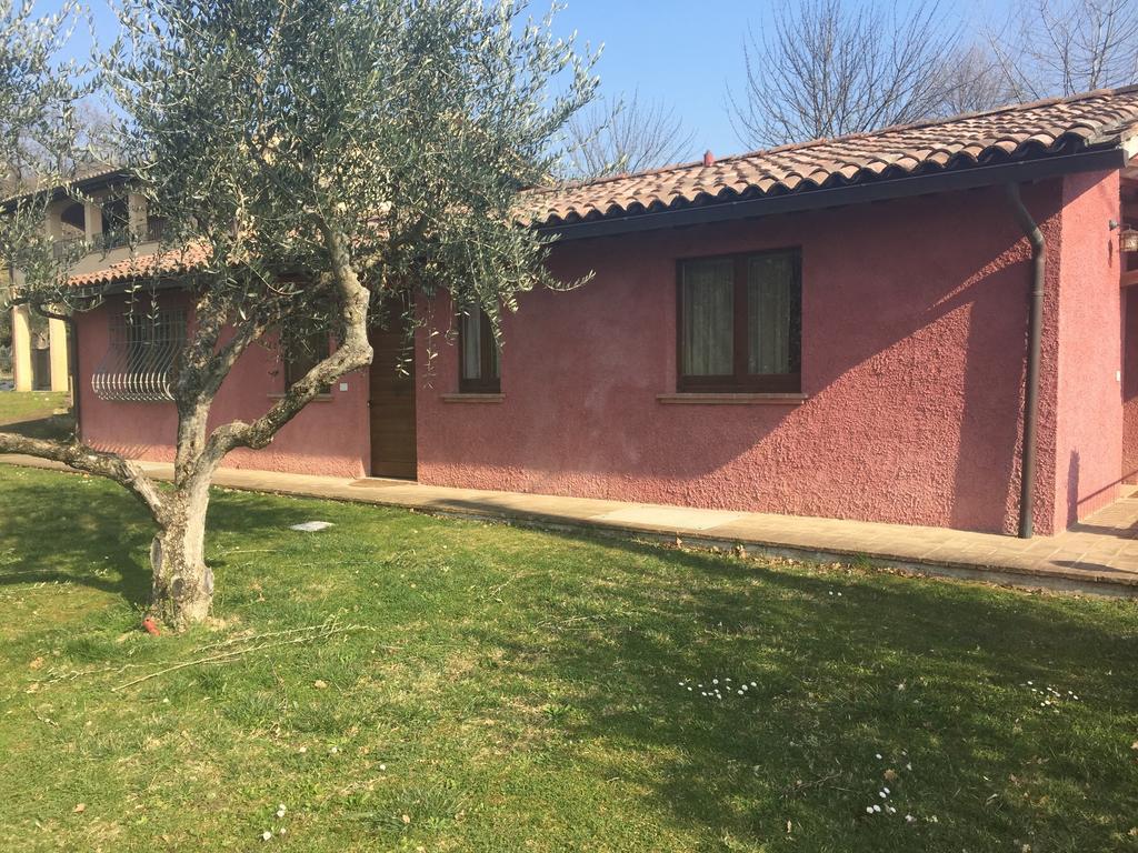 Bed And Breakfast I Nidi Petrignano ห้อง รูปภาพ